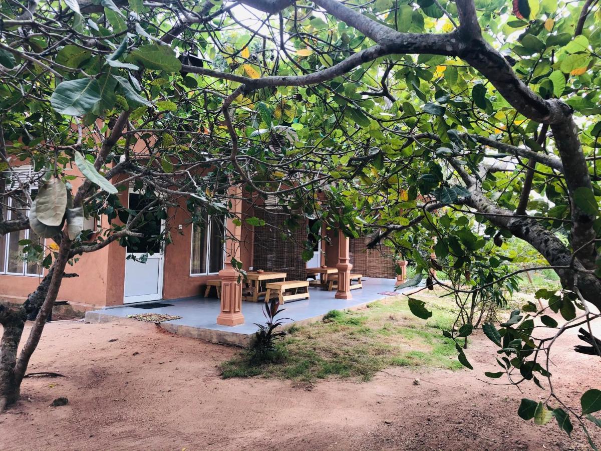 Wilpattu Wildhideaway Hotell Galkadawala Exteriör bild